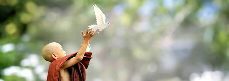 7 tanulságos zen történet az elengedésről