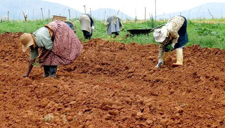 Hogyan törj ki a szegénységből? Egy tanulságos előadás
