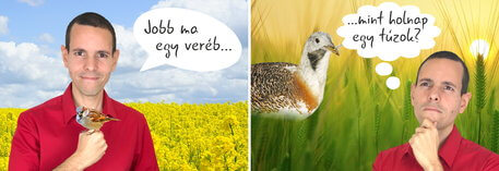 Íme 10 közmondás, aminek az ellenkezőjét csináld!