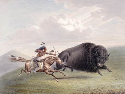 Bölényvadász akcióban