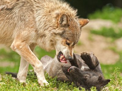 Jelenet egy&hellip; munkahelyről