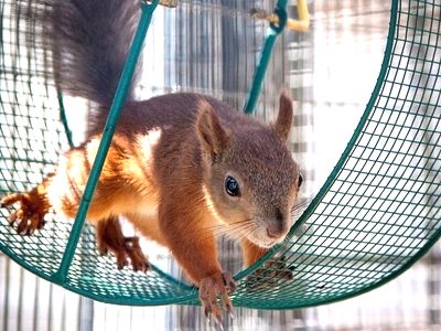 Ki mondta, hogy csak így lehet?